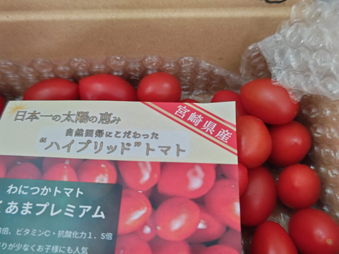楽天市場】【ふるさと納税】愛果菜ミニトマト9P×1セット