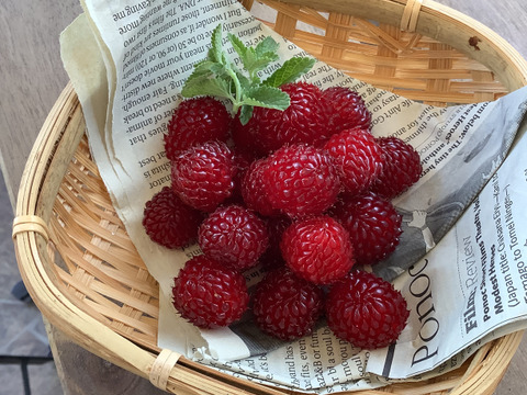 【栽培期間中農薬不使用】冷凍ウルトララズベリー400g