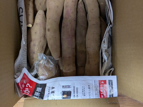 栗のような甘さとホクホク食感😋【紅あずま】千葉県香取市産 4.8kg使い勝手に便利な M-2L