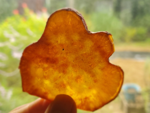 五島直送！潮風 × 火山灰土が育てた熟成島さつまいも『安納芋』4kg