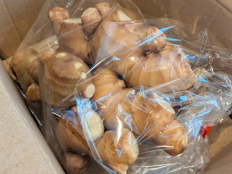 R7【四万十 町産】R7.10月収穫1㎏（洗い生姜、土佐一 生姜）