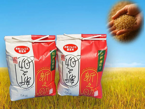 おこめ 10kg 国内産✖️2袋=20kg 楽天市場】米20kg (10kg×2) 家計応援米 精米したて お米 国産10