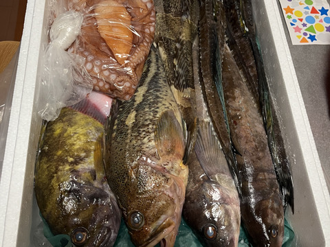 竹コース【知床羅臼直送】船頭にお任せ！鮮魚ボックス（詰め合わせ) 海鮮セット