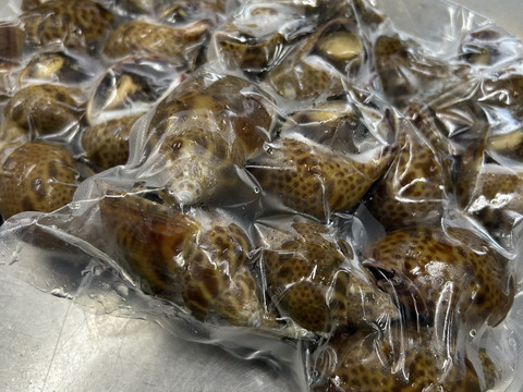 【高級貝！】冷凍黒バイ貝！500g×2袋/下処理済み