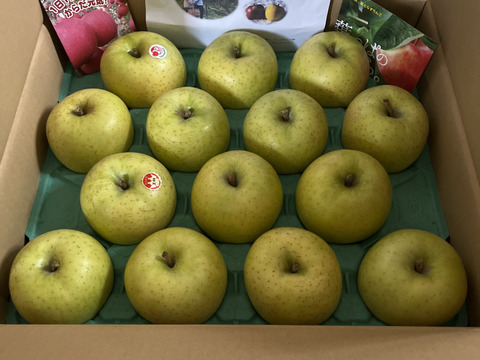 農家直送　青森りんご　王林(おうりん)　家庭用　約5キロ　同名タレントさんの活躍で、知名度抜群の甘いりんご！