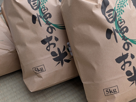 会津産　ひとめぼれ　10キロ　（玄米）