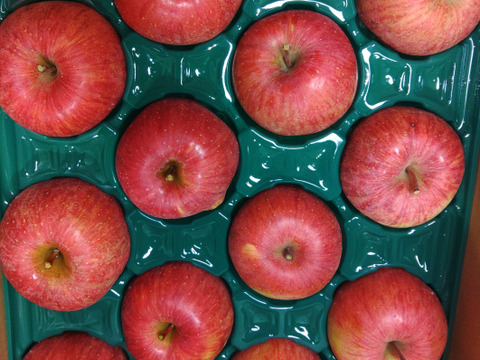 訳ありのりんご🍎サンふじ🍎　　5kg　大玉～中玉(12～16玉サイズ)