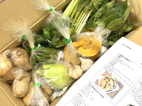 スーツ特別割引クーポン 初回限定BOX】使いやすいお野菜セット※おススメレシピ付き 野菜