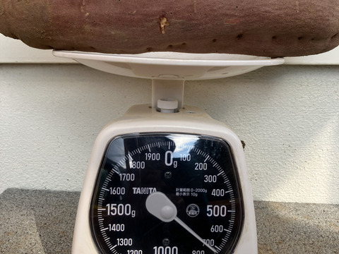 自然栽培〈規格外べにはるか〉大分県産さつまいも 4kg