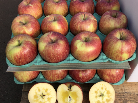 🍎【予約開始】5キロ🍎幸せの完熟葉とらずふじ16玉～24玉 青森りんご リンゴ 商品ID165766