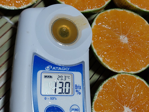 みかん&レモン  セット5kg(箱込)