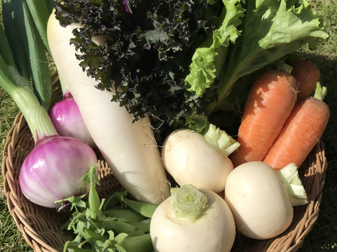 Sサイズ *旬野菜セット(約6~7品)【農薬:栽培期間中不使用】