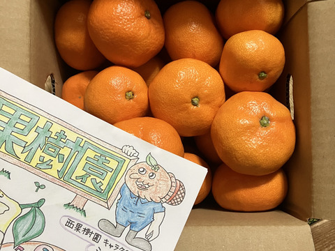 【深～く甘いコクと余韻】年末年始はこの🍊！【晩生みかん２．５kg】