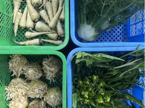 野菜詰め合わせ