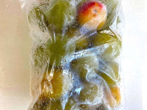数量限定【冷凍青梅1kg】自然栽培 品種混合 梅酒や梅シロップ