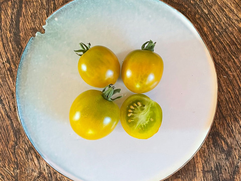 《食べ比べ》オーガニックカラフルミニトマト3kg