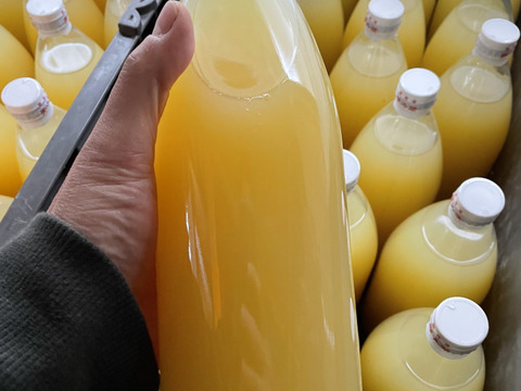 長野県産!!サンふじりんごジュース2本セット