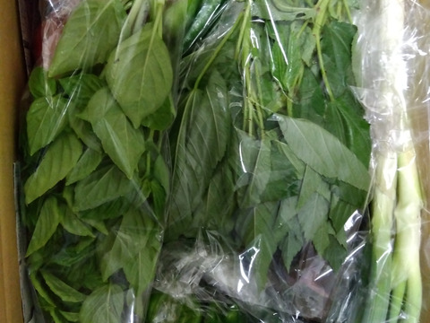 旬の露地野菜セット(7〜9品)