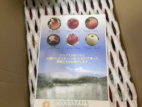 【訳あり】サンふじバラ詰めご家庭用約５キロ　豊作でお買い得！