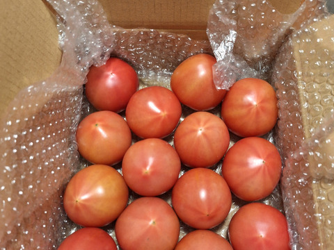 昔ながらのトマト🍅８０サイズ箱詰め(S玉)