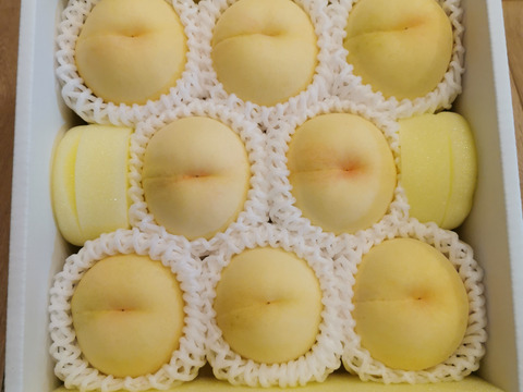 【訳あり品】園主におまかせ★岡山の桃（2kg箱）