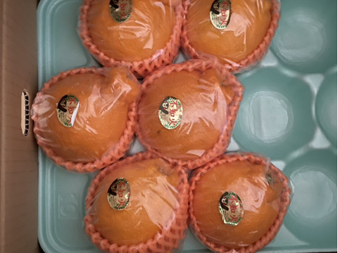 不知火デコ2、5キロ✖︎２箱