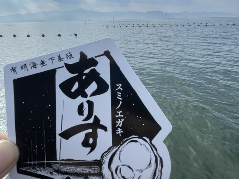 身入り抜群！有明海垂下養殖スミノエガキ　ありす　4kg（生食可）