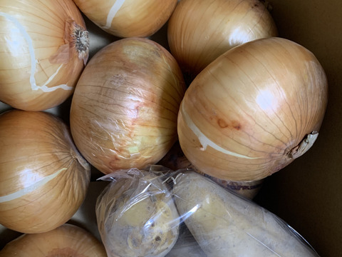 新玉ねぎ3kg🅱️🧅淡路島極熟玉葱　今が旬‼️ 特別栽培農産物　シャーロットオニオン