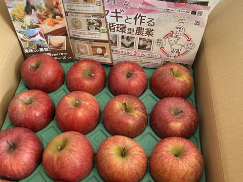本州、四国宛配送限定　信州産フジりんご　約15キロ 自家用サンふじ 15kg（モミ殻入り） - 信州くだもの村富永農園