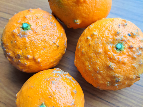 南津海家庭用2kg