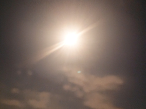 秋の自然栽培野菜LLセット7種類〜《12月、自然栽培野菜5.5kg前後80サイズ》朝採りで超新鮮［季節の固定種在来種専門農家だからできる］淡路島から初収穫固定種人参いり