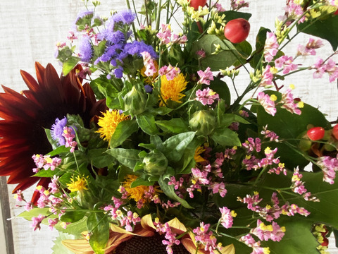 クール便、人気あり【もりもりお任せブーケ、20本／その3】プレゼントOK!花農家から直送！何が入るかはお任せですが、その日の一番きれいをお届けします。