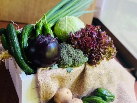 京都から賀茂なす1品+旬の野菜を詰め合わせ5品=6品目野菜セット