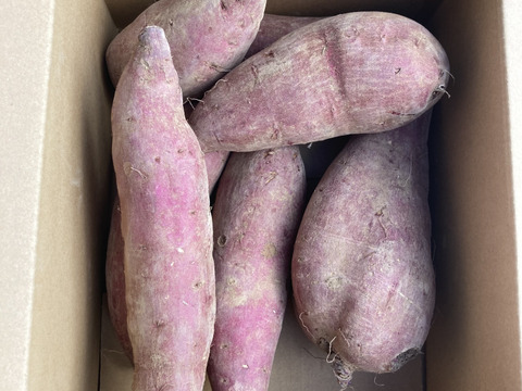 ねっとりさつまいも「シルクスイート」! 2kg：大分県産のシルク