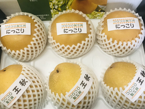【旬の梨食べ比べ‼️2品種】何が届くかお楽しみ😋贈答用約2.2kg✨️豊水・あきづき・かおり・あきあかり・二十世紀・南水・にっこり・新高・王秋・新興・愛宕の中から2品種詰め合わせ‼️