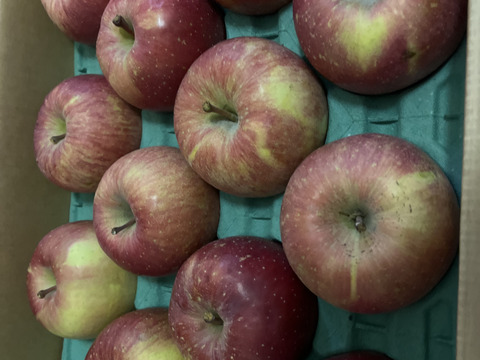 【王道サンふじ】　10㎏　26～40玉　本場青森りんご　農家直送　元気なりんご