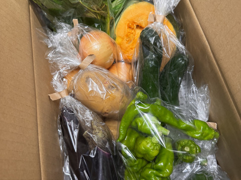 Mサイズ ＊旬野菜セット(約8~9品)【農薬：栽培期間中不使用】：千葉県