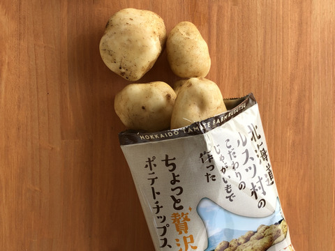 【北海道】「玉手農場オリジナルポテトチップス（うすしお味）」12袋