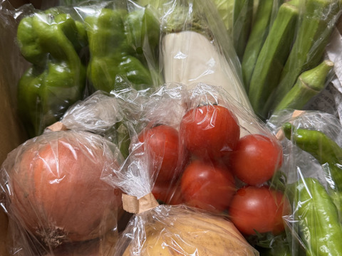 Mサイズ ＊旬野菜セット(約8~9品)【農薬：栽培期間中不使用】