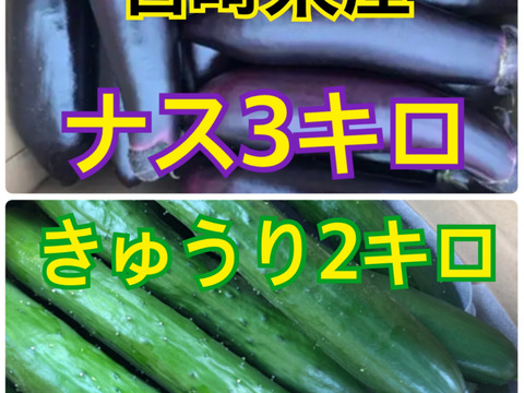 野菜　ナス　きゅうり　5キロ　宮崎県産
