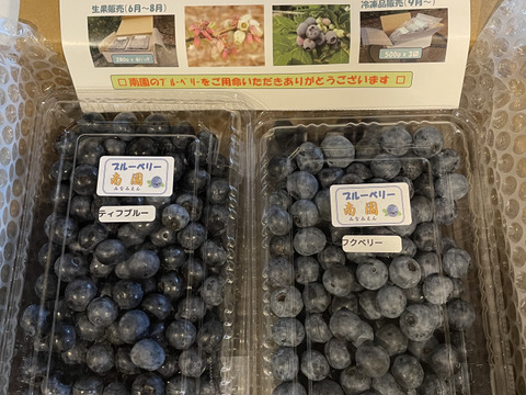 ブルーベリー生果280g x 4パック『パック毎に品種表示』