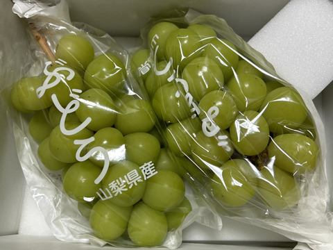 R1 山梨県産　ぶどう　シャインマスカット 2kg　朝採り産地直送 すぐ発送！💚朝採れ山梨シャインマスカット】2キロ 3～4房