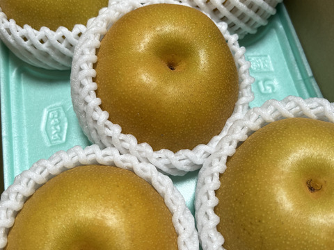 今年イチオシうんめぇ梨🍐樹上完熟！！梨(豊水) 福島県白河梨　2.5キロ