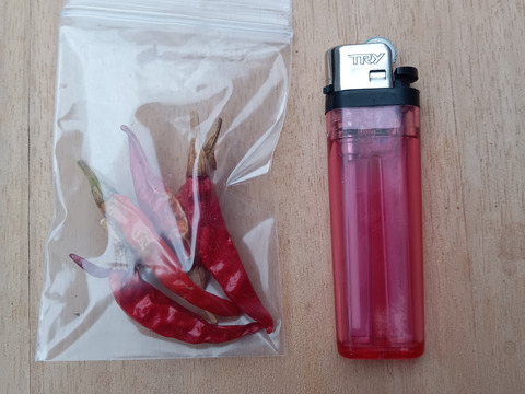 カラッ(｡>﹏<｡)唐辛子　便利な小分けパック🌶️🌶️🌶️❗❗40袋入り🌶️🌶️🌶️ばぁばのモノスゴイ野菜✨✨✨