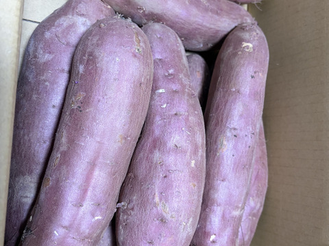 低温熟成保管‼茨城県産紅はるか2Lサイズ 10㎏ さつまいも サツマイモ