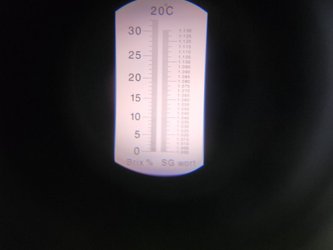 【冬ギフト】【お歳暮、お年賀、家族団らんにも】(指定日無し)【ななか】400g2パック  高級ホテルザ・リッツ・カールトン東京で使用いちご糖度40度くらいを4度計測しました