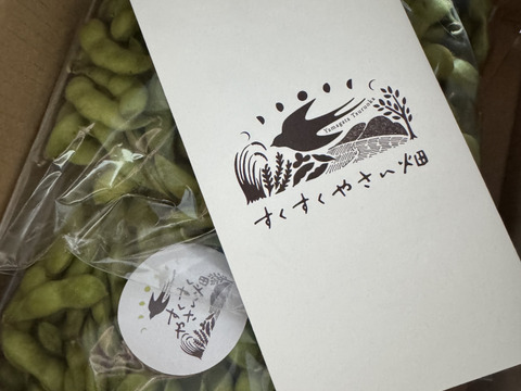 【朝どれ】2025年　山形県鶴岡特産『枝豆』だだちゃ豆 500g×2