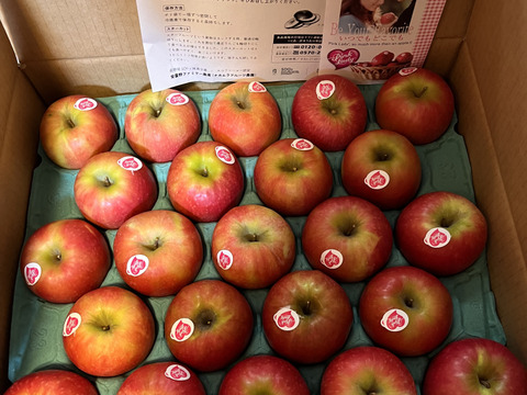 【発送中🍎】ピンクレディー®︎ 家庭用B品 5キロ箱使用 長野県 信州 安曇野 リンゴ 幻 幻のリンゴ 予約 希少 旬 小キズあり 中玉〜小玉 商品ID31409