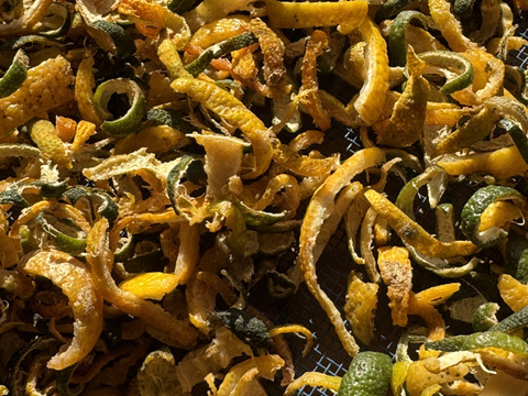 自生の日本の山柚子の陳皮　自然農 完熟熟成　ちんぴ　50グラム以上お入れしてお送りします。12月末からの発送です。