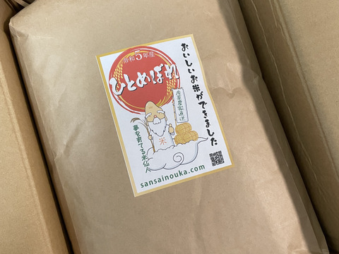 【令和6年新米】ひとめぼれ9.8キロ白米　甘い！うまい！